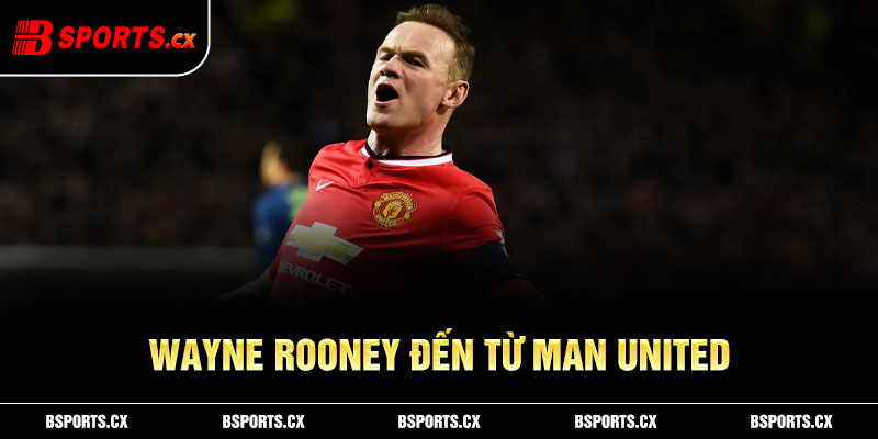 Wayne Rooney đến từ Man United